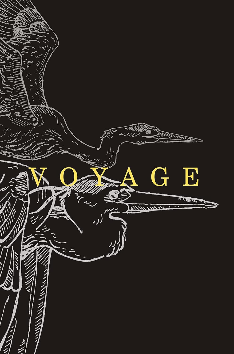 Voyage cover